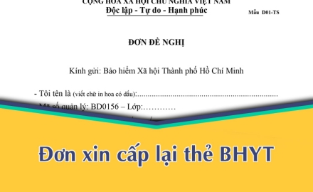 ĐƠN XIN CẤP LẠI THẺ BHYT